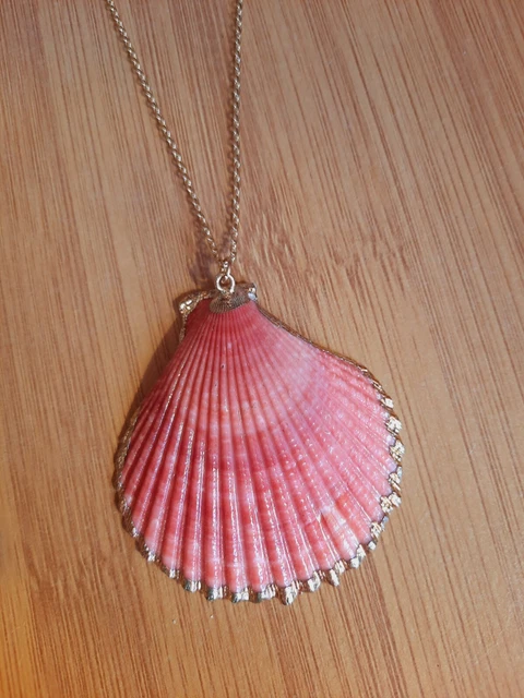 Collier Pendentif Coquillage Fossile Turritella - Argent 925 Plaqué - Neuf Avec étiquettes