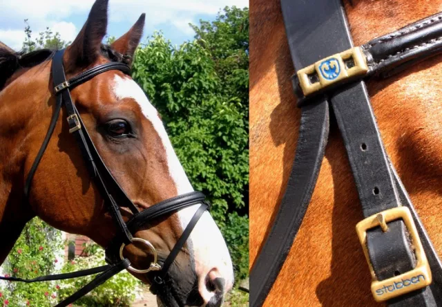 STUBBEN 191 IMPERIAL Posh Brass Gold SQUARE Logo Buckle Padded German Bridle