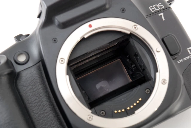 [Near MINT in BOX] CANON EOS 7 EOS-7 35mm SLR Film Camera Body aa132 From JAPAN 3