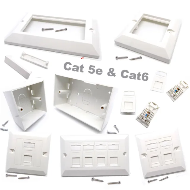 RJ45 Network Cat5e Cat6 1 - 2 Gang Face Plate Back Boxes Keystone Jack Wholesale