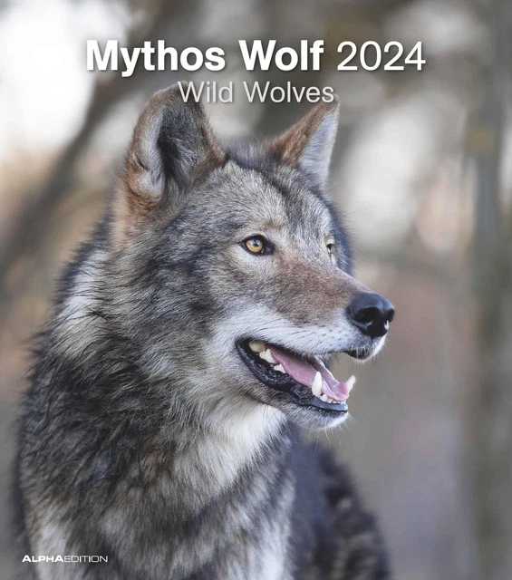 MYTHOS WOLF 2024 FotoKalender WandKalender 30x34 ALPHA EDITION