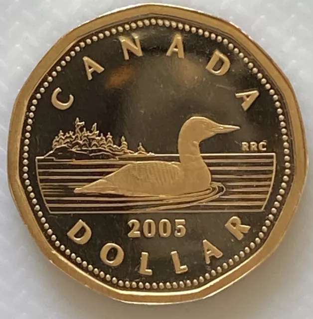 2005 Canada Loonie Proof One Dollar Heavy Cameo Coin