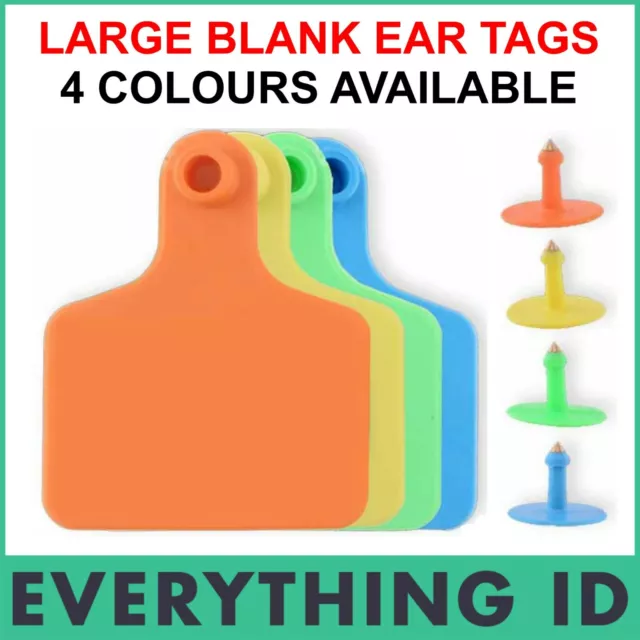 100 Large 75Mm Length Cow Cattle Plastic Blank Livestock Management Ear Tags