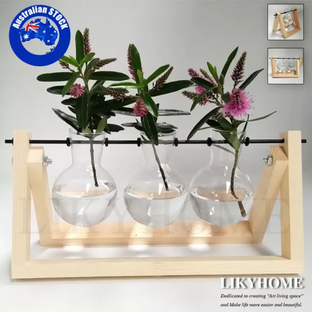 Glass Vases Wooden Stand Hanging Terrarium Container Hydroponics Pot Vase Decor