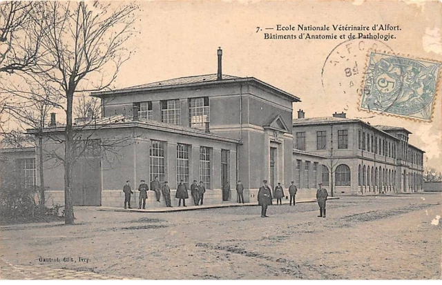 94 - ALFORT - SAN67765 - Ecole Nationale Vétérinaire - Bâtiments d'Anatomie