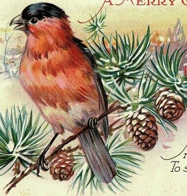 1930 A Christmas Merry Pine Postcard Cones Bird Winter Scene House Sing Song