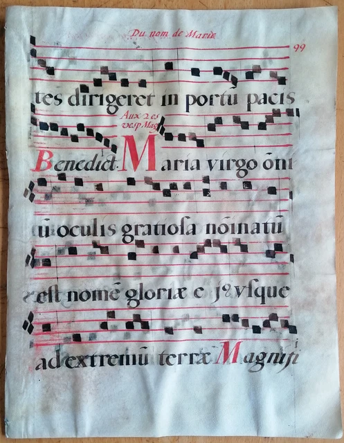 Original Blatt Manuskript Antiphonarium Pergament Folio (B) - 1550