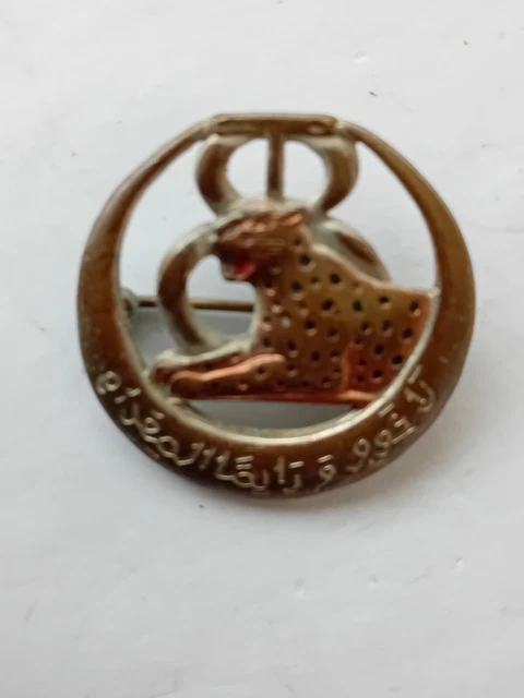 WW2,FRANCE,MEDAILLE,INSIGNE 8ÈME RÉGIMENT de Tirailleurs Tunisiens
