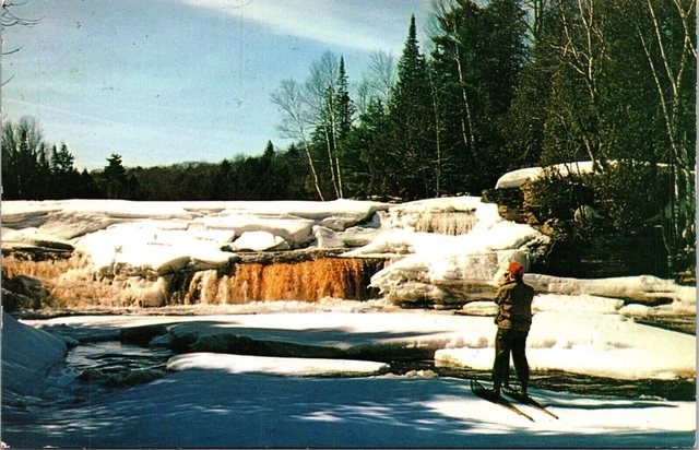 Lower Falls Tahquamenon River Michigan Upper Peninsula Postcard VTG UNP Vintage