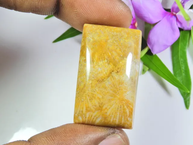 39Cts. Natural Fossil Coral Rectangular Cabochon Loose Gemstone 19X31X06 MM S182