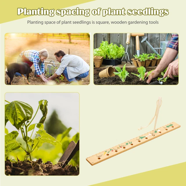 WOODEN PLANTING SPACING Ruler Portable Seeds Sowing Spacing Ruler ...