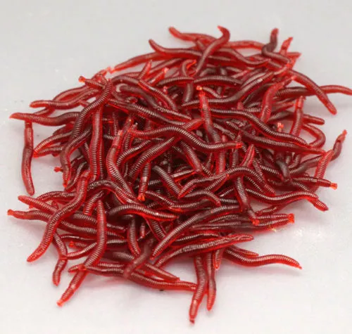 Soft Red Earthworm Fishing Bait Worm Lures Crankbaits Hooks Baits Tackle 100 Pcs