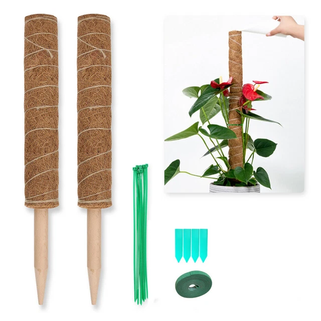 Pflanzstab Kokos 2 Stück Rankhilfe 40cm natürlicher Rankstab 2er Set