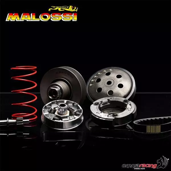 Malossi carburetor kit PHBG 21 AS for Honda MB 5 - MT 5 - MTX 5 50cc 3