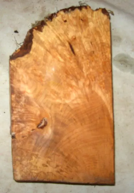Bloque Burl De Arce Borde Vivo Torneando Artesanía Carpintería Aprox 9.25X5.25X2 Pulgadas