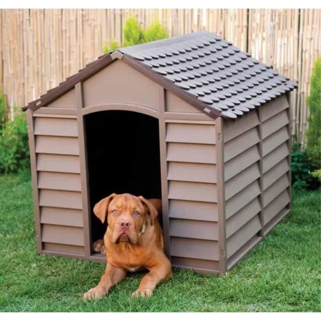 Box extérieur couvert pour chien 120 x 120 x 132 – Chenil pour chien