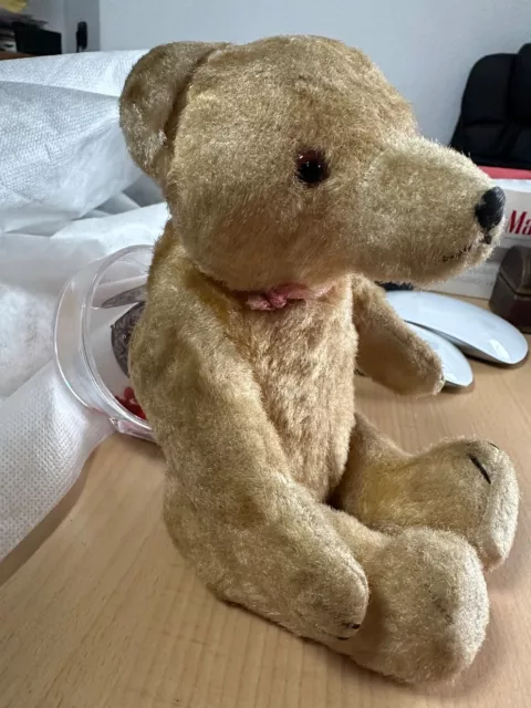 Steiff altes Tier Jungbär Bär mit Halsband etwa 20 cm innen Stroh