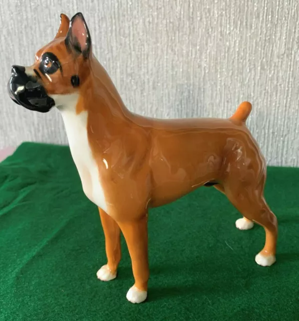 Royal Doulton Dog Boxer Ch Warlord Of Mazelaine Hn 2643 Golden Gloss Perfect