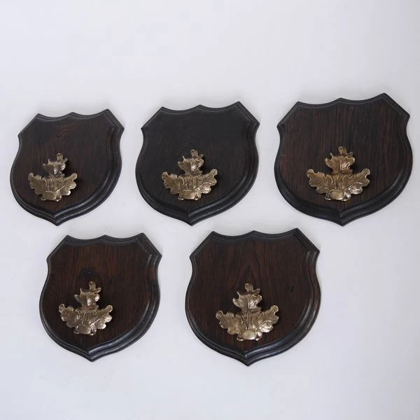 5x Wappenschilder Jabalí Af 17cm Escudo de Trofeo Hoja de Roble Portada Grande 2