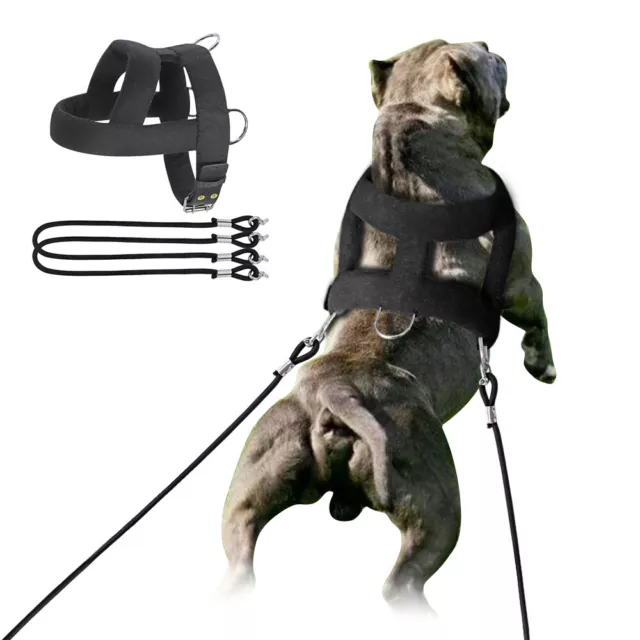 Weight Pulling Dog Harness Heavy Duty for Medium Large Dog Training Vest Pitbull