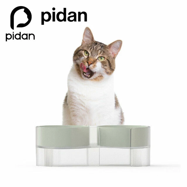 Pidan Elevated Cat Dog Double Dual Feeding Raised Bowls Set Tilted Stand Green