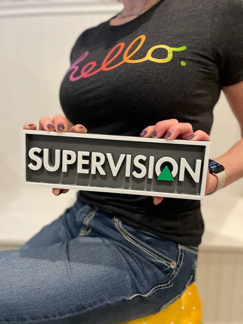 Pack ROMs Watara Supervision: Une Odyssée Rétrogaming