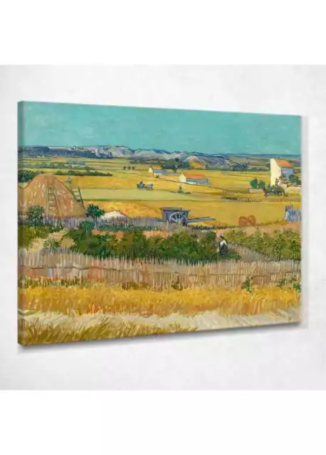 ✨ Il Raccolto Van Gogh Vincent quadro stampa su tela vvg3