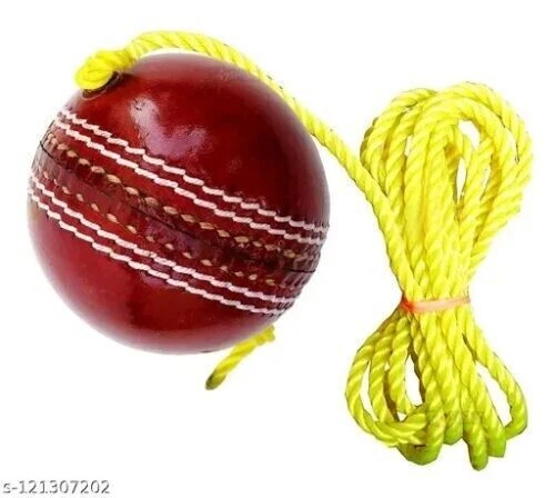 Nouvelle balle suspendue en cuir frappant la balle de Cricket avec corde...