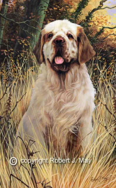 Clumber Spaniel Limited Edition Print by Robert May