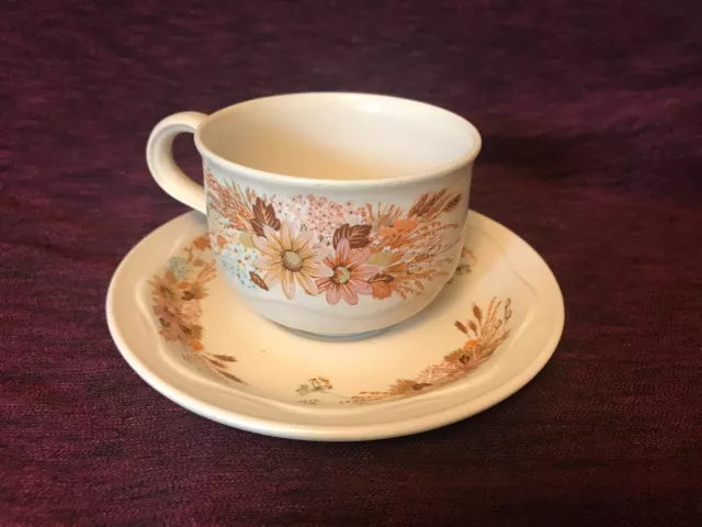 Vintage Poole Summer Glory Cup & Saucer 70s VGC Replacements 8 available