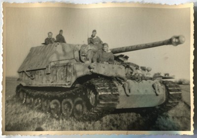 German WWII Photo Ferdinand Elephant Tank Destroyer at the Field 03558