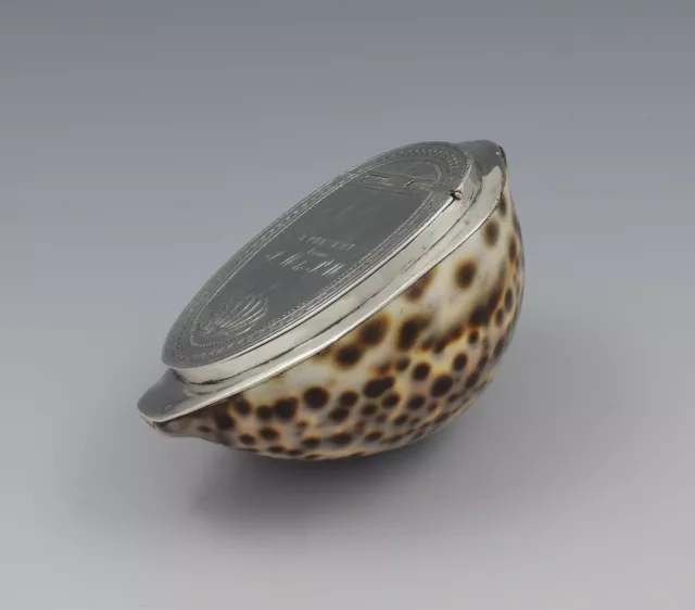 Georgian Silver Mounted Cowrie Shell Snuff Box