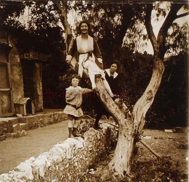 FRANCE Famille Arbre c1920 Photo Stereo Plaque verre Vintage V25L12n