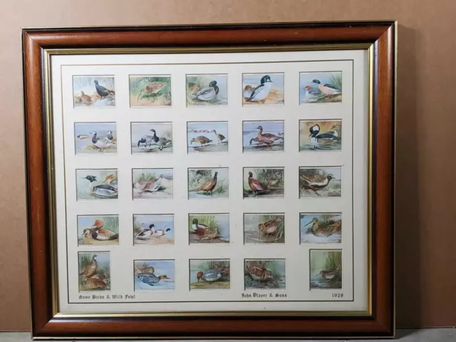 Players Cigarette Cards Game Birds & Wild Fowl 1928, Complete Set 25 Framed