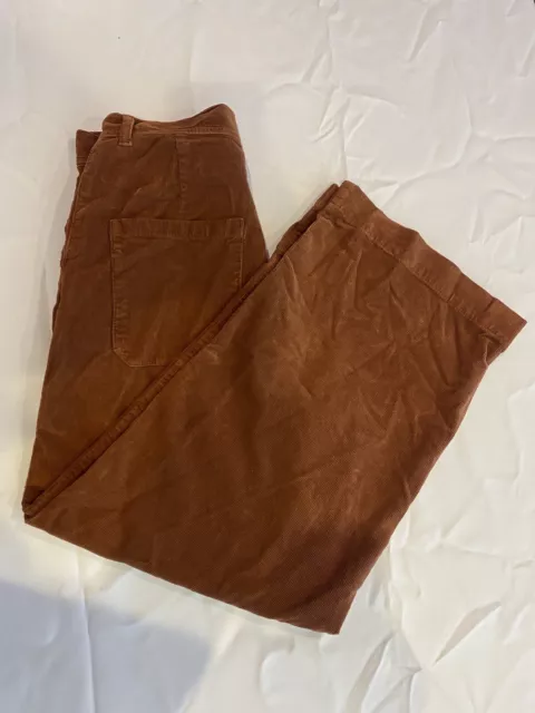 French Connection Casablanca Colored Pant For Women, Size-6