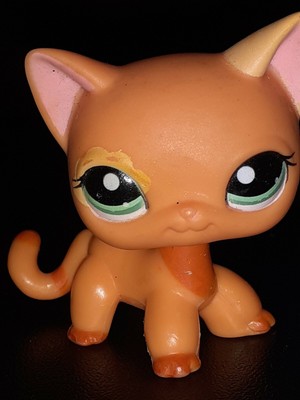 Figurine Petshop Original Chat Cat Europeen Short Hair 1643 Pet Shop Lps Eur 14 50 Picclick Fr