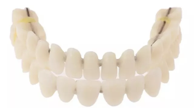 Acryl Zähne Zahnersatz Zahnprothese Gebiss Ober und Unterkiefer 28 Zähne 🦷 ✅