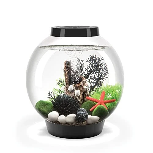 Classic 15 Aquarium with Standard Light - 4 Gallon Black