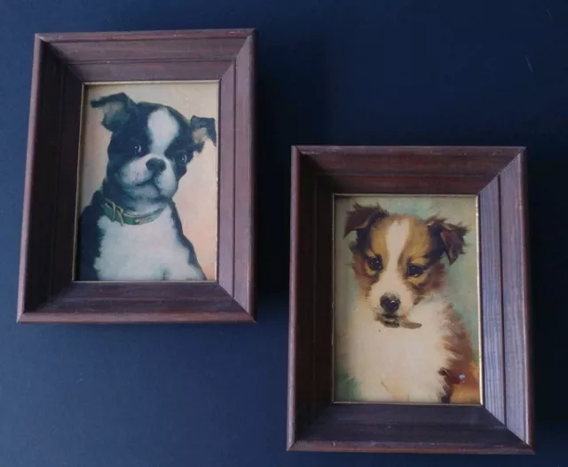 Vintage Two Framed Prints Of Dogs Terrier Puppy