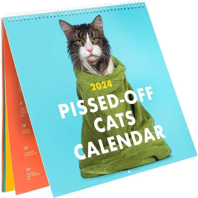 TIME PLANNING 2024 PissedOff Cats Calendar Hanging Calendar Desk
