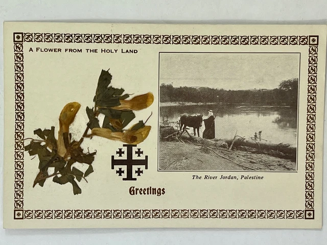 Rare Postcard A Flower From the Holy Land - The River Jordon, Palestine  PC7