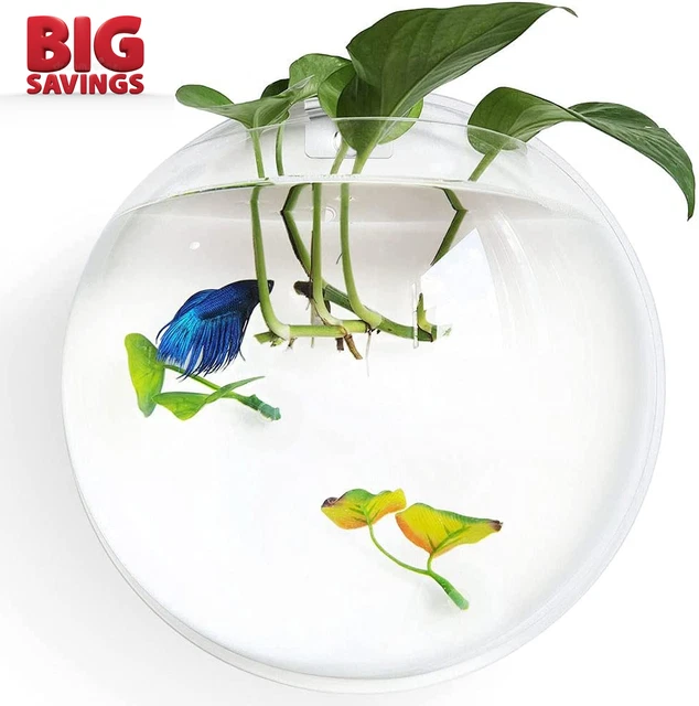 Betta Fish Tank Bowl 11.8In, Wall Mounted Beta Fish Small Aquarium, Hanging Plas