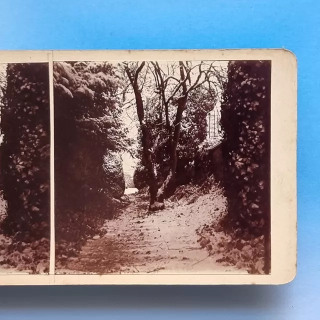 Stereoview Karte 3D echtes Foto C1905 Braintree Bocking Essex Bradford St. Winter