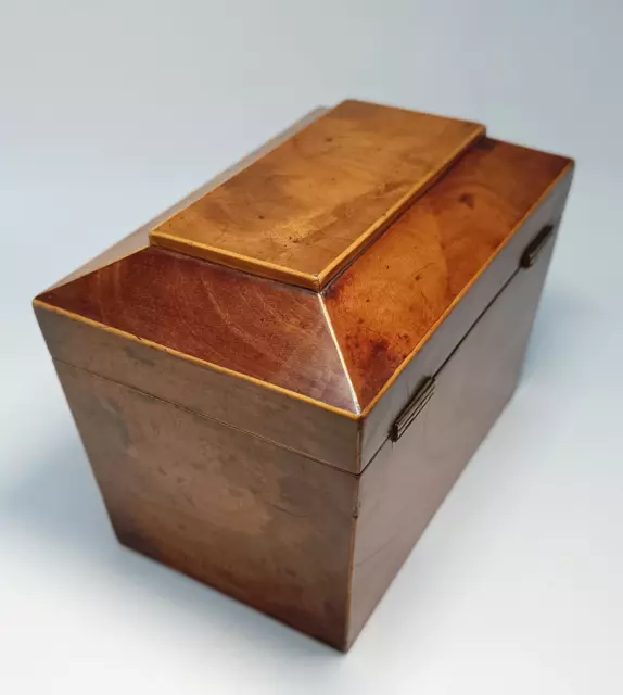 Caja de almacenamiento de carcófago de té del siglo XIX con tapas internas. Sin llave 3