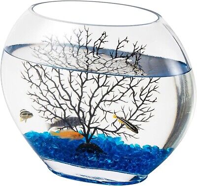 New Mini Glass Oblate Fish Bowl Kit Small Fish Tank Blue Aquarium Decor Stones