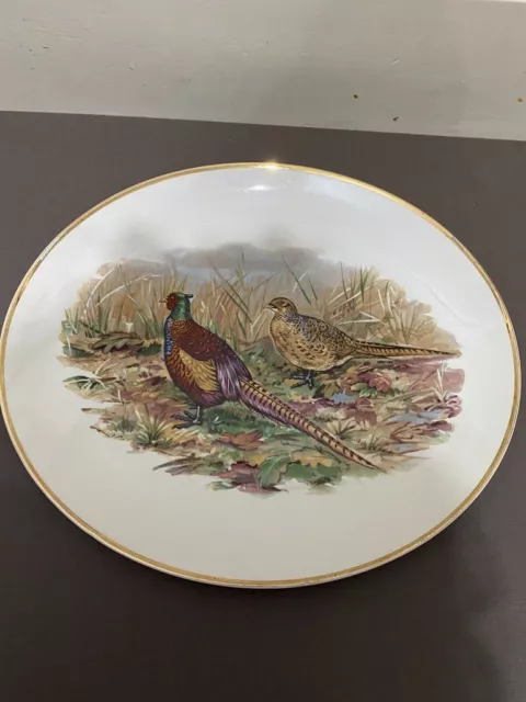 Liverpool road pottery retro pheasant plate oval 13  inch x 11 inch  A342 2