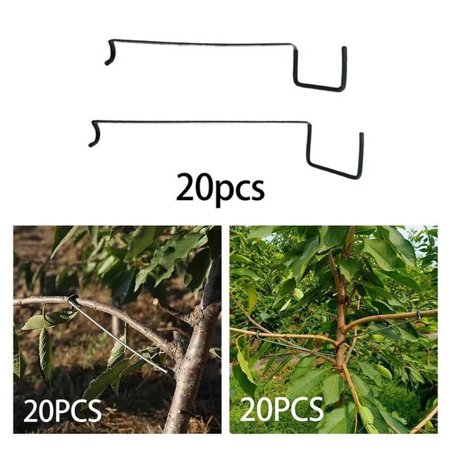 Arbre Fruitier Jardin écarteur De Branches Arrache Branche Lot De 20 écarteurs De Branches Pour - Plastique Résistant Arrache Branches Arbre Fruitier Arbres Fruitiers