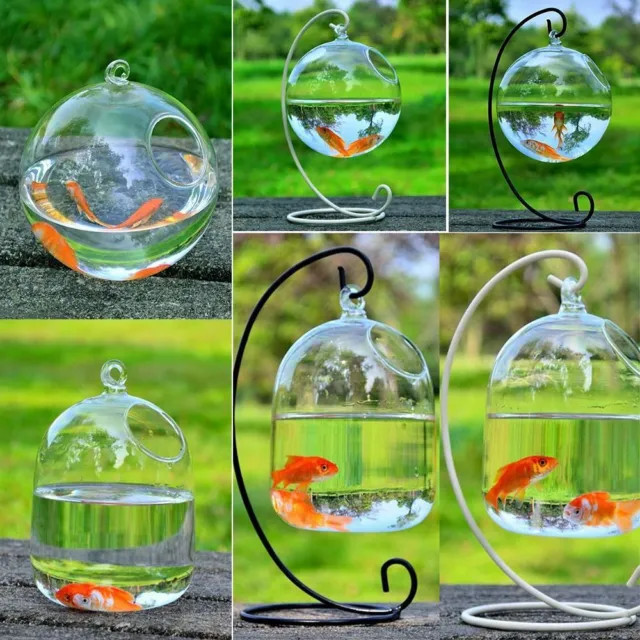 Aquarium Decoration Vase Ornament Fish Bowl Fish Tank Hanging Glass Fish Bowl