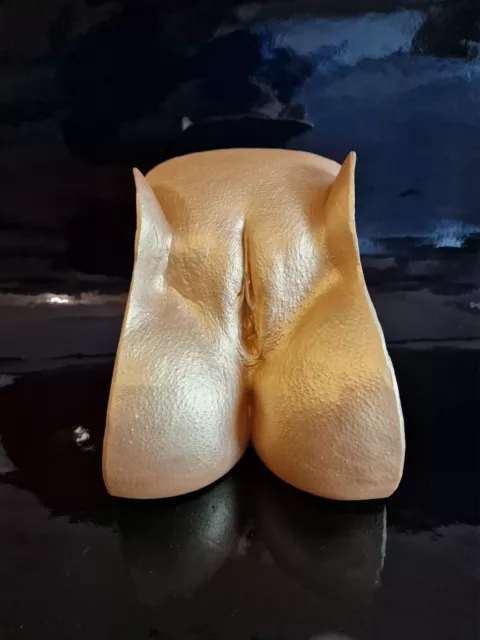 Bodycast Echte Vulva Skulptur aus Gips Erotische Kunst Unikat Sammlerstück Nr. 1