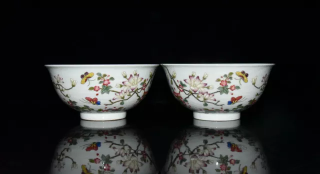 A Pair Chinese Pastel Porcelain Handpainted Exquisite Flowers&Plants Bowls 10736